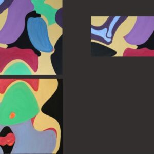 FRAGMENTS